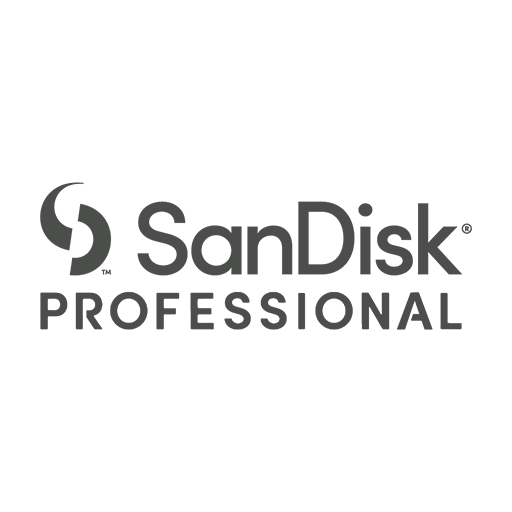 Sandisk Professional