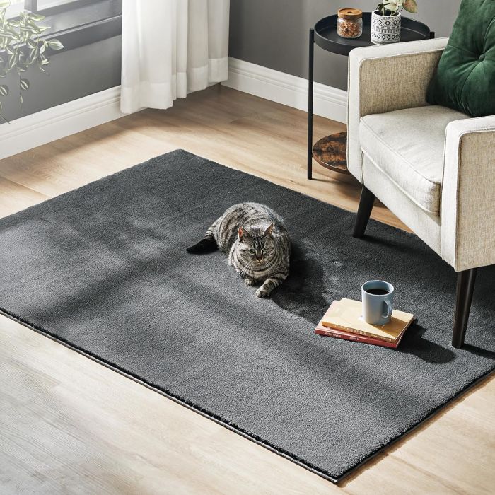 SONGMICS Preproga, 120 x170 cm