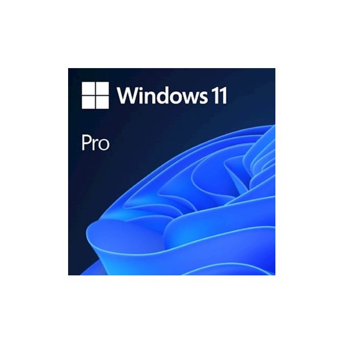 Microsoft Windows Pro 11 FPP slovenski, USB