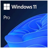 Microsoft Windows Pro 11 FPP English, USB