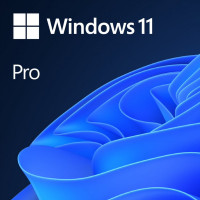 Microsoft Windows Pro 11 DSP/OEM English, DVD