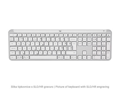 Logitech keyboard Signature Slim K950, graphite, SLO Mr. White