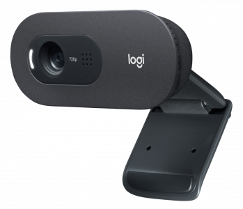 Logitech webcam C505, HD, black
