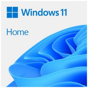 Microsoft Windows Home 11 FPP English, USB