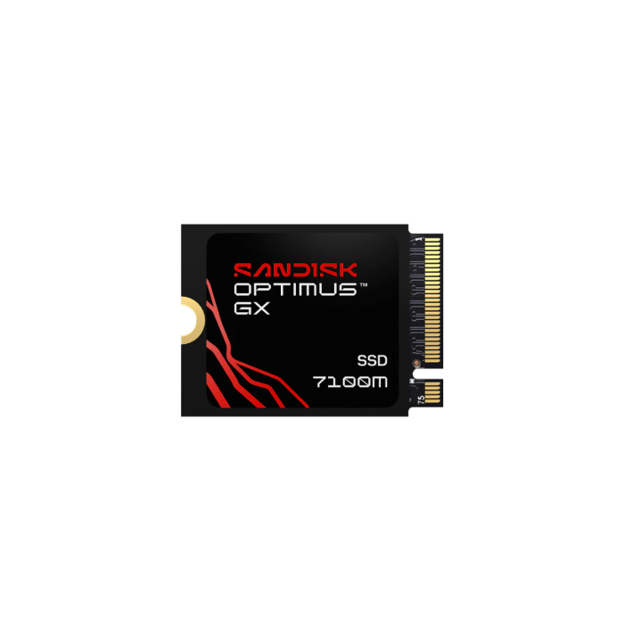 SANDISK 1TB Optimus 7100M M.2 2230-S3-M PCIe 4.0 NVMe 2.0 SSD disk						