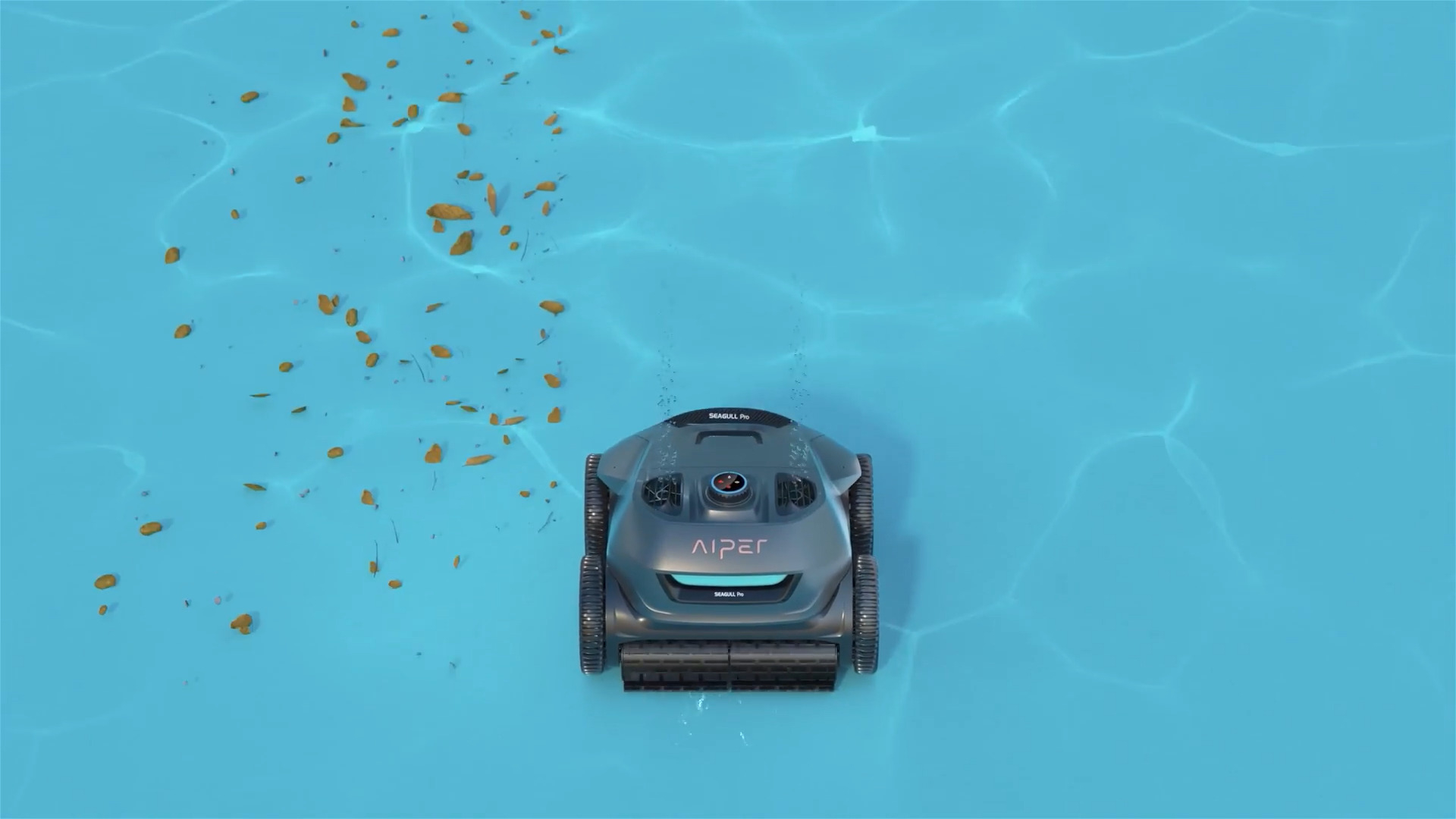 default1.jpg
